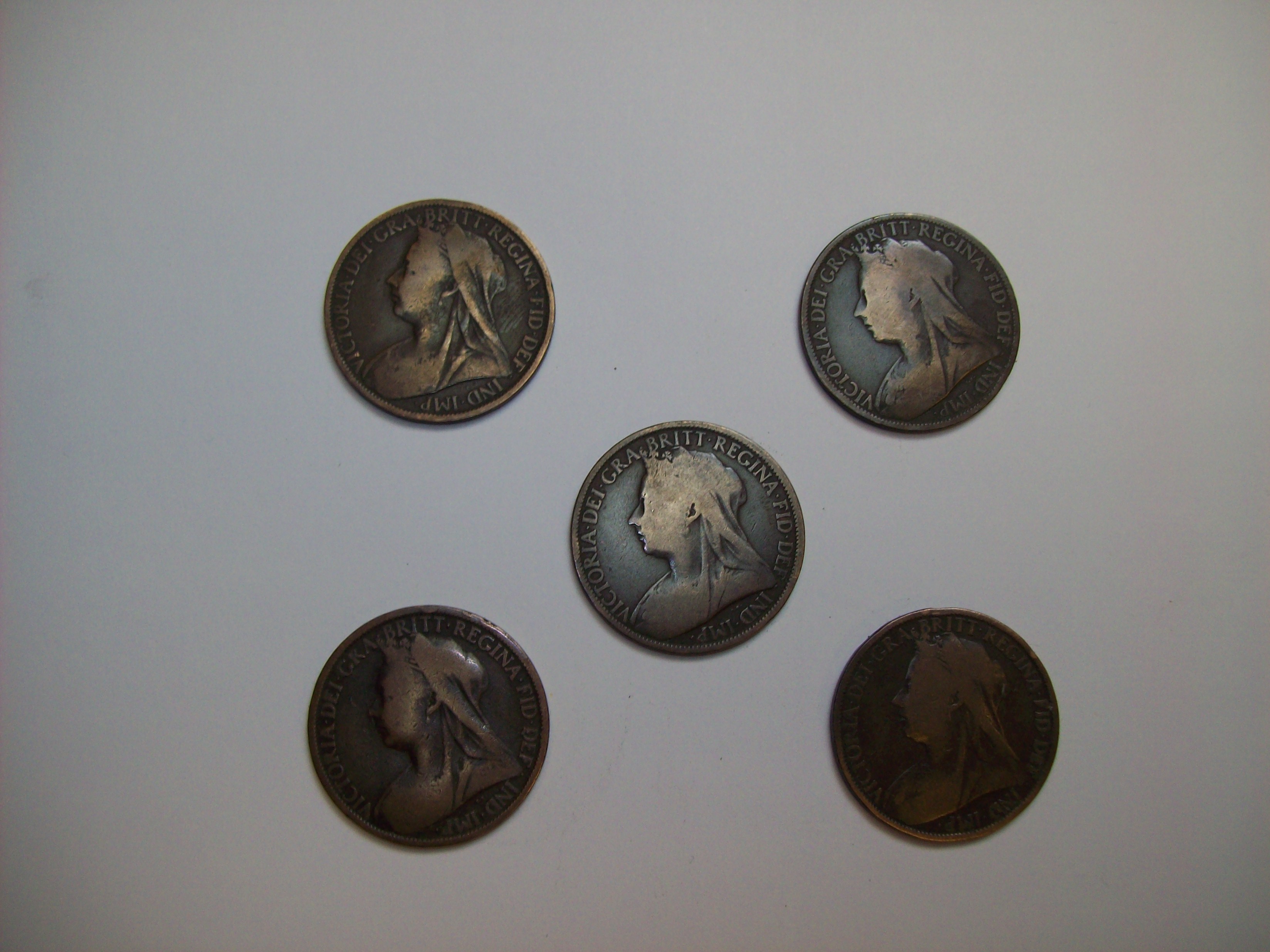 Expanded Victorian Penny Shell plus 4 matching coins